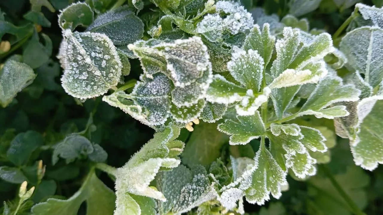 تحذيرات من موجة صقيع تضرب مناطق واسعة في سوريا فجر الاثنين